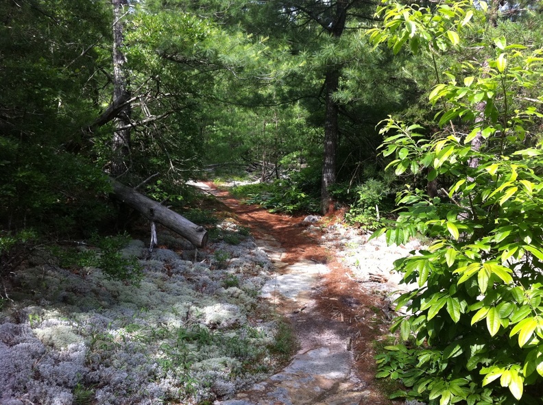 Soft trail on the JMT_ Big South Fork - 27.jpg